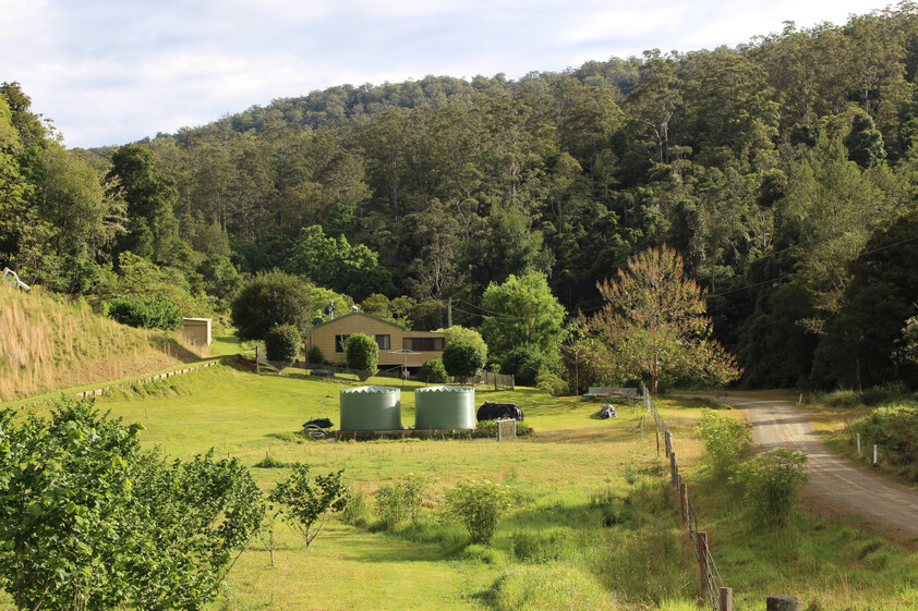 Sustainable Hazelnut & Agritourism Business Opportunity