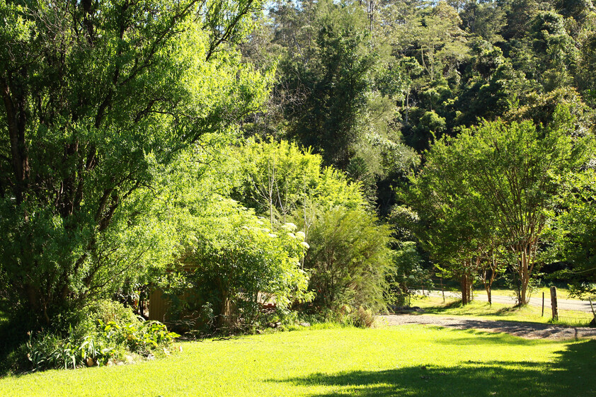 Sustainable Hazelnut & Agritourism Business Opportunity