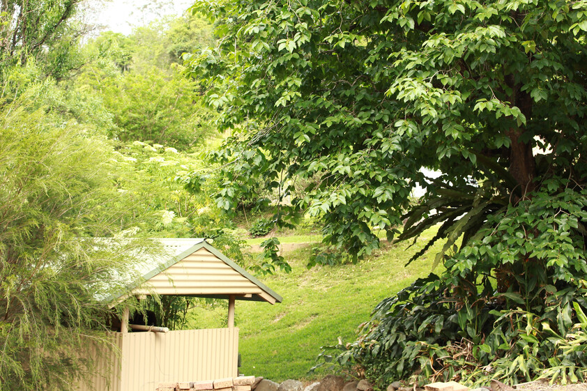 Commercial Lease 5.13 ha Hazelnut Orchard & Agritourism Opportunity