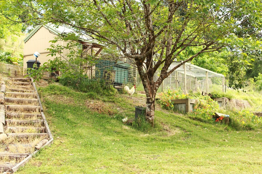 Commercial Lease 5.13 ha Hazelnut Orchard & Agritourism Opportunity
