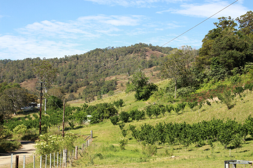 Commercial Lease 5.13 ha Hazelnut Orchard & Agritourism Opportunity
