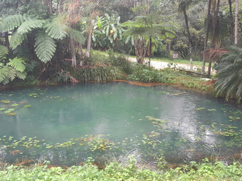 Property For Sale 829 The Pocket Rd The Pocket NSW 2483 33