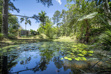 Property For Sale 829 The Pocket Rd The Pocket NSW 2483 32
