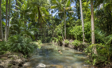 Property For Sale 829 The Pocket Rd The Pocket NSW 2483 23