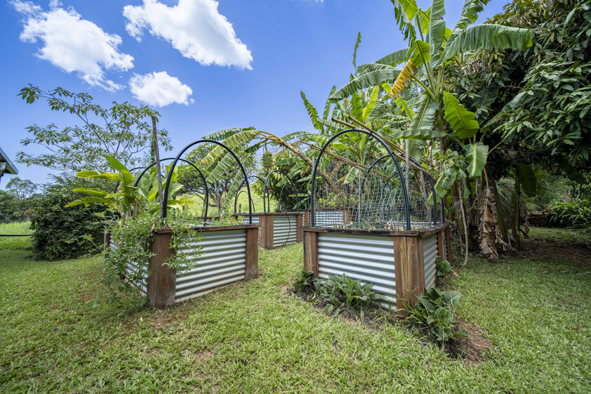 Private 7-Acre Byron Hinterland Sanctuary with Multiple Dwellings