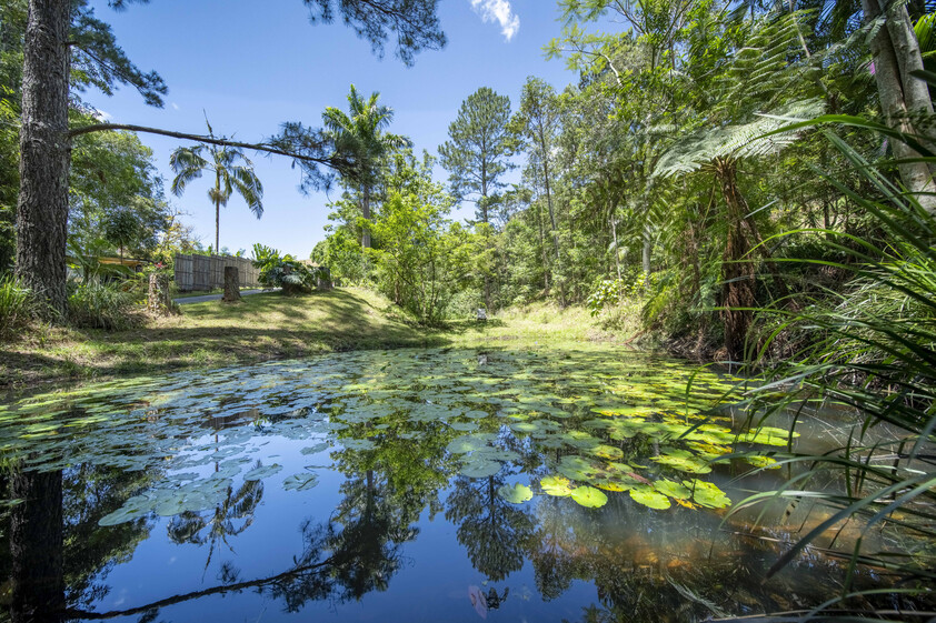 Private 7-Acre Byron Hinterland Sanctuary with Multiple Dwellings