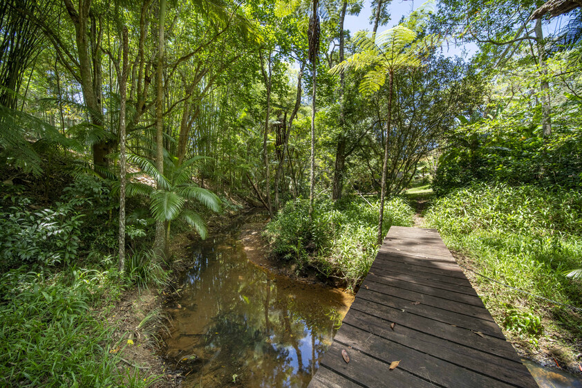 Private 7-Acre Byron Hinterland Sanctuary with Multiple Dwellings