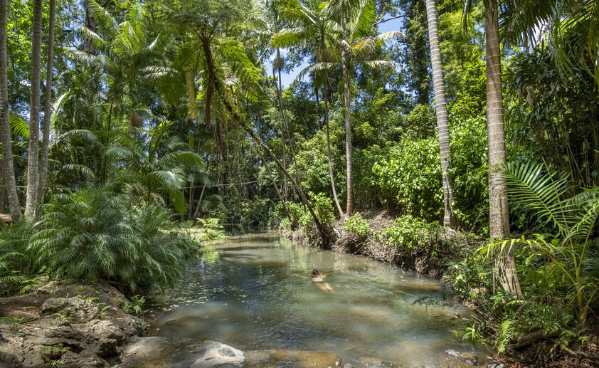 Private 7-Acre Byron Hinterland Sanctuary with Multiple Dwellings