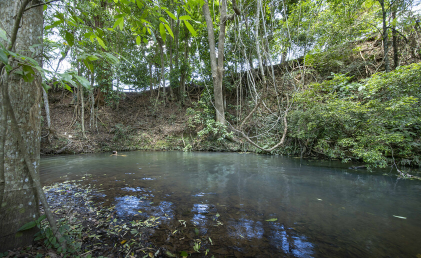 Private 7-Acre Byron Hinterland Sanctuary with Multiple Dwellings