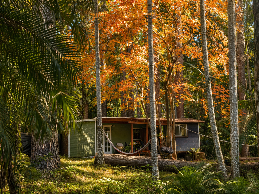 Private 7-Acre Byron Hinterland Sanctuary with Multiple Dwellings