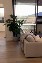 Property For Rent 103/23 Crisp Street Hampton VIC 3188 2