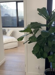 Property For Rent 103/23 Crisp Street Hampton VIC 3188 4