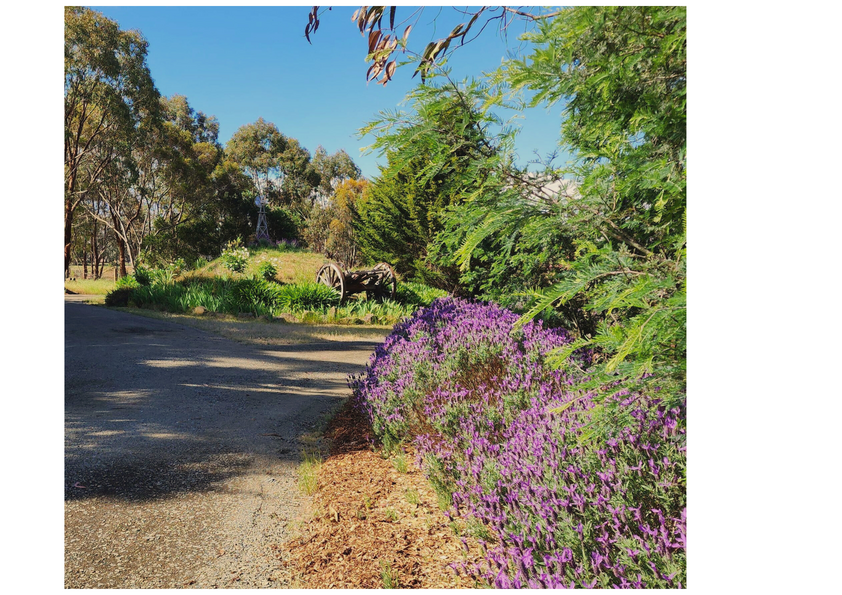 Unique biodynamic sanctuary for the health-couscious