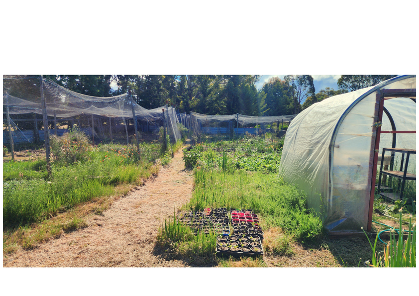 Unique biodynamic sanctuary for the health-couscious