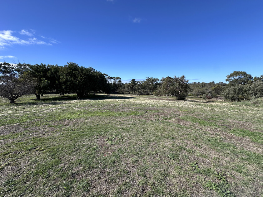 Modern Rural Retreat with Large Living, Massive Shed & Nature Reserve Outlook