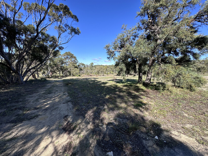 Modern Rural Retreat with Large Living, Massive Shed & Nature Reserve Outlook