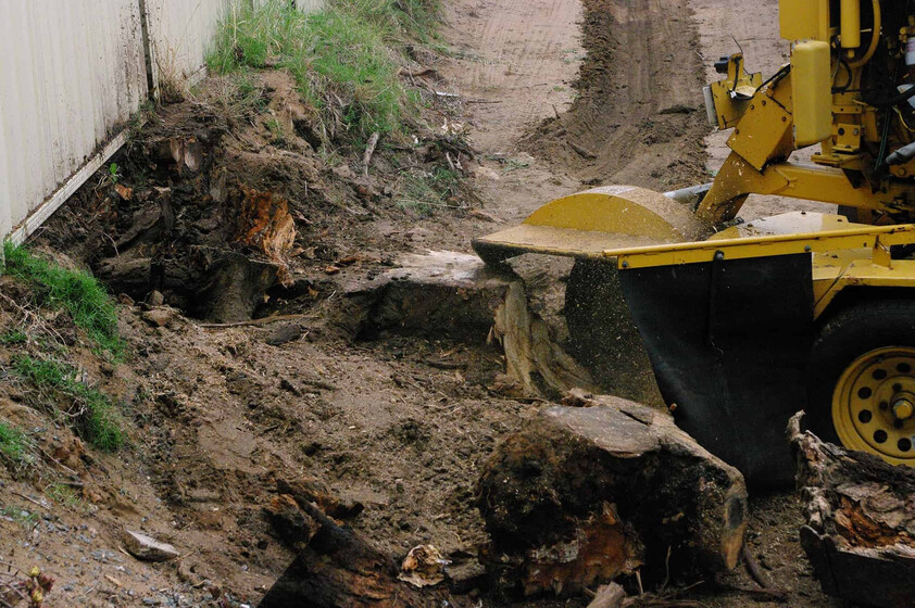 Two Long-Established Arborist Businesses with Strong Cashflow & Major Contracts