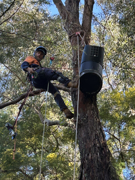 Two Long-Established Arborist Businesses with Strong Cashflow & Major Contracts