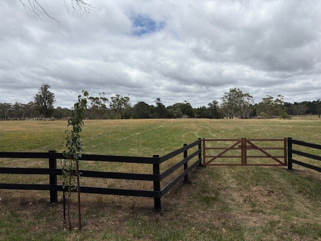 5-Acre Allotments — Subdivisible Now