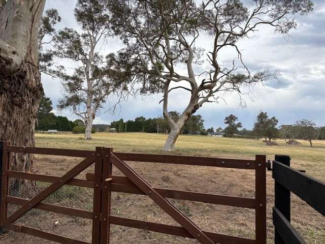 5-Acre Allotments — Subdivisible Now