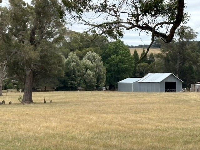 5-Acre Allotments — Subdivisible Now