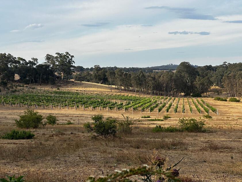 Lifestyle Block 10.13ha (25 Acre) with Town water, Power and Permit for a 3BR Dwelling