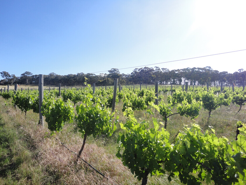 Lifestyle Block 10.13ha (25 Acre) with Town water, Power and Permit for a 3BR Dwelling
