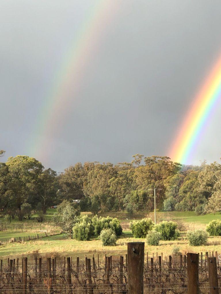 Lifestyle Block 10.13ha (25 Acre) with Town water, Power and Permit for a 3BR Dwelling