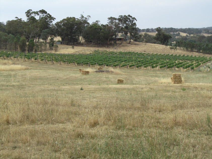 Lifestyle Block 10.13ha (25 Acre) with Town water, Power and Permit for a 3BR Dwelling