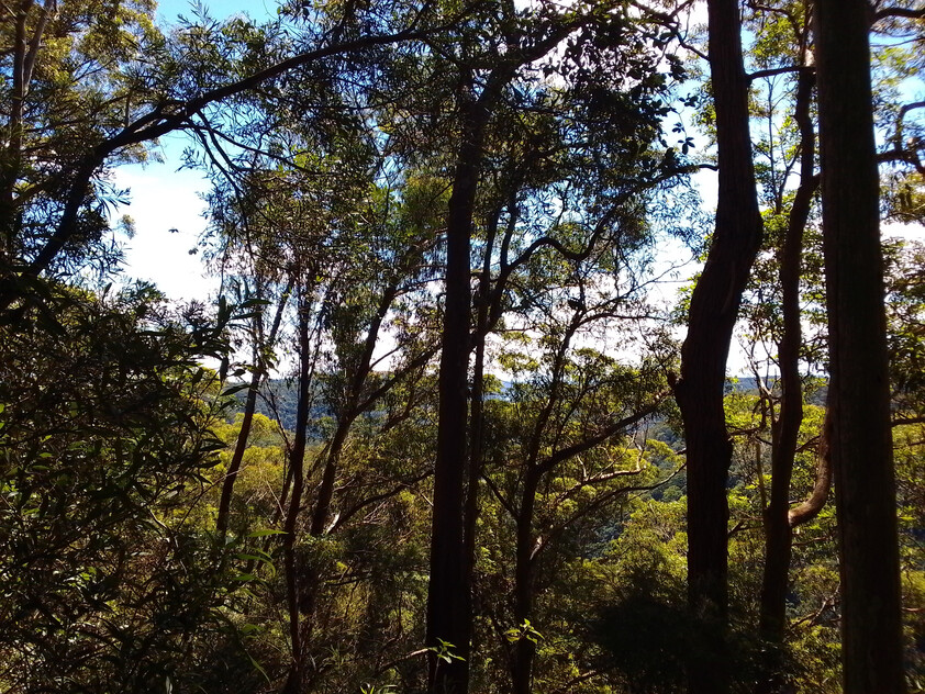 Land in Springbrook Gold Coast Hinterland