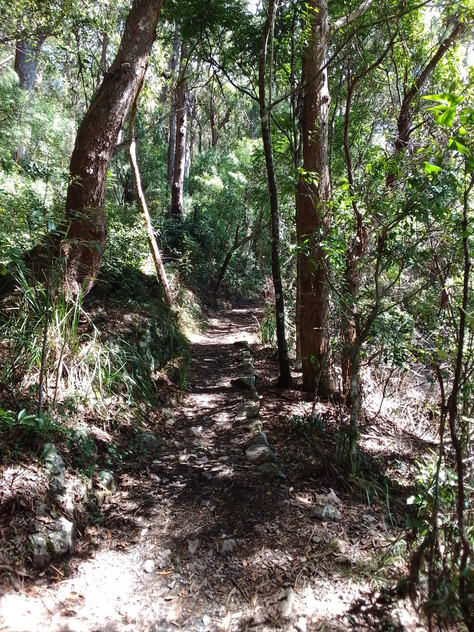 Land in Springbrook Gold Coast Hinterland