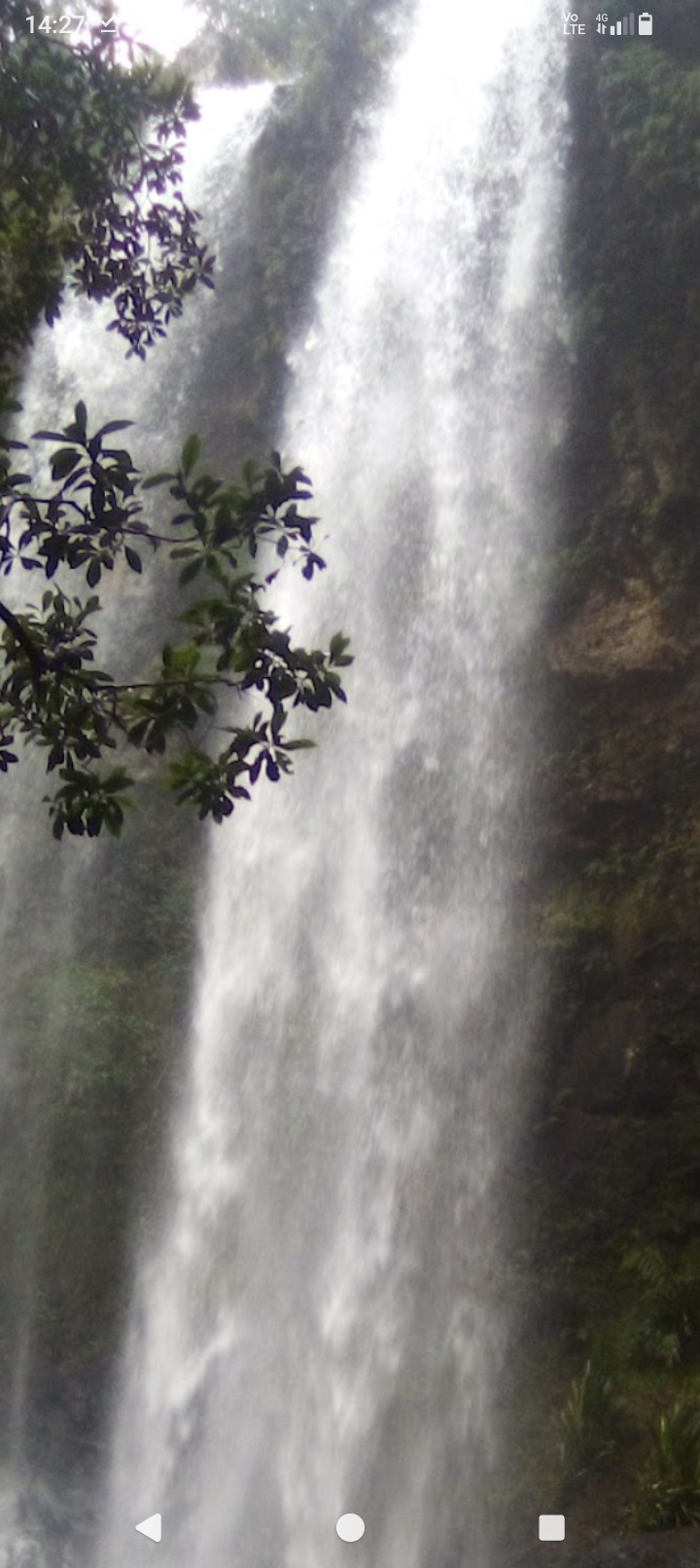 Land in Springbrook Gold Coast Hinterland