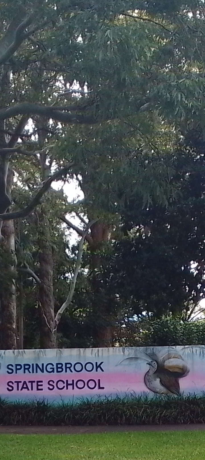 Land in Springbrook Gold Coast Hinterland