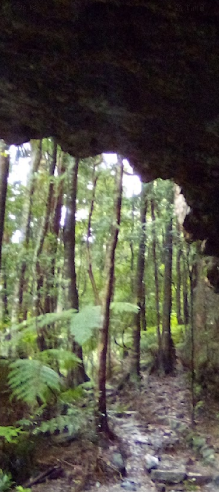 Land in Springbrook Gold Coast Hinterland