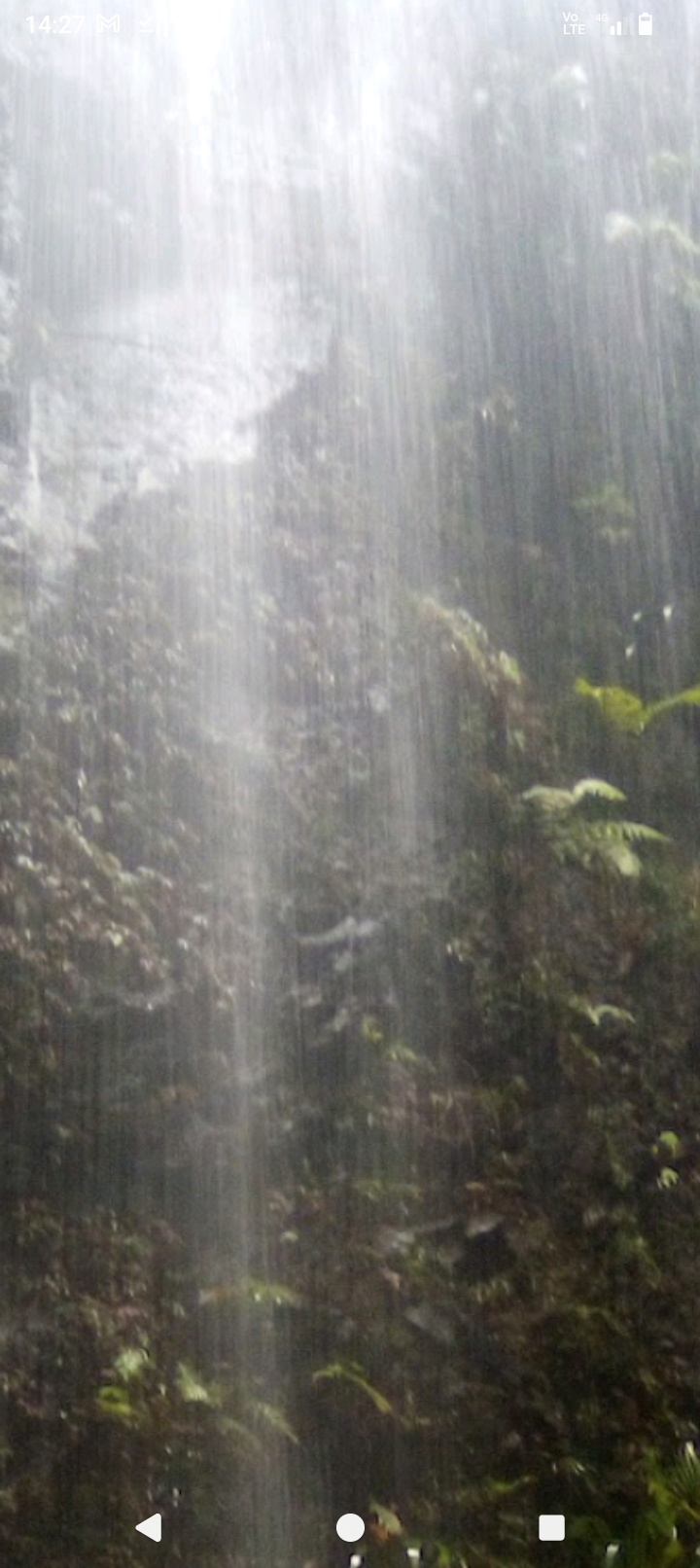 Land in Springbrook Gold Coast Hinterland