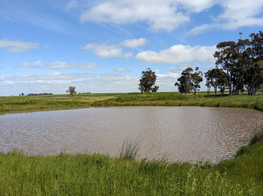 Quality Mixed Farming Property With Well Established Off-Grid Dwelling