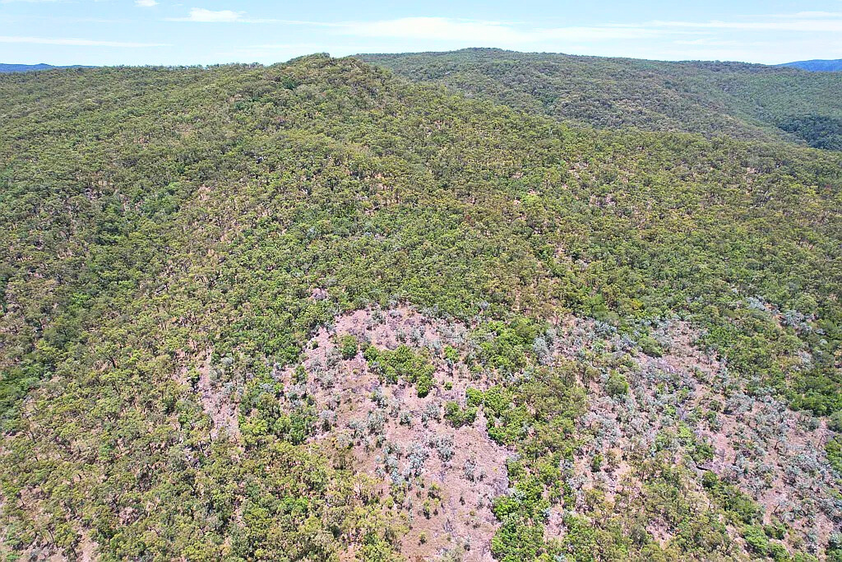 40.90ha Coastal Acreage with Stunning Ocean Views Bruce Highway Frontage