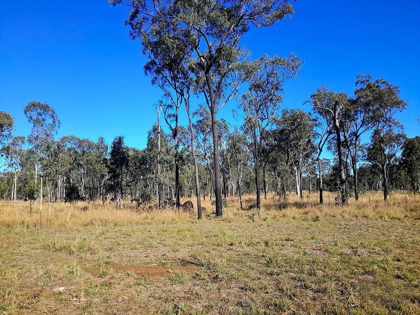 30 Acres with Dam, Bore & Established Off-Grid Living Setup Ready to Use