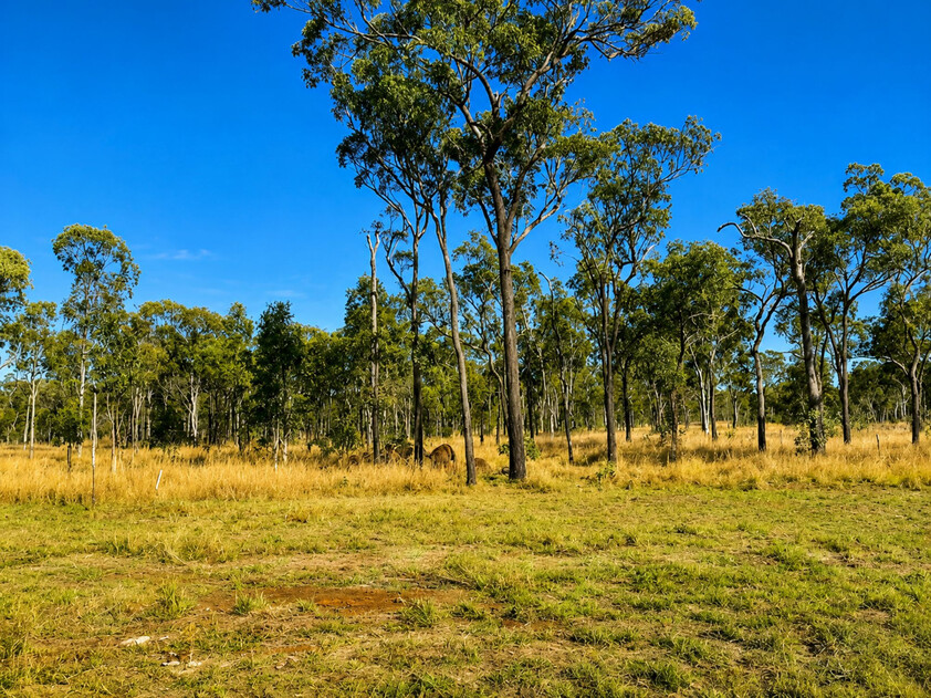 50% Tenant-in-Common Interest Established Off-Grid Lifestyle Setup