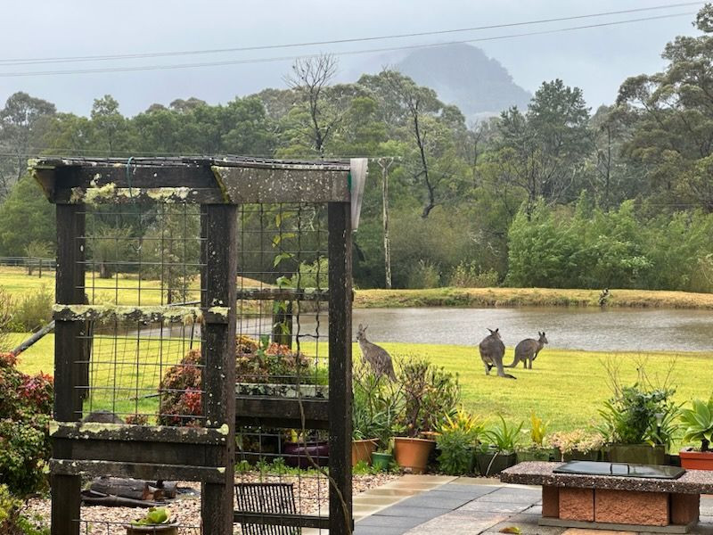 Small Farm next to village