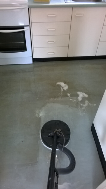 Established Carpet Cleaning Business with 37+ Year History | Loyal Client Base