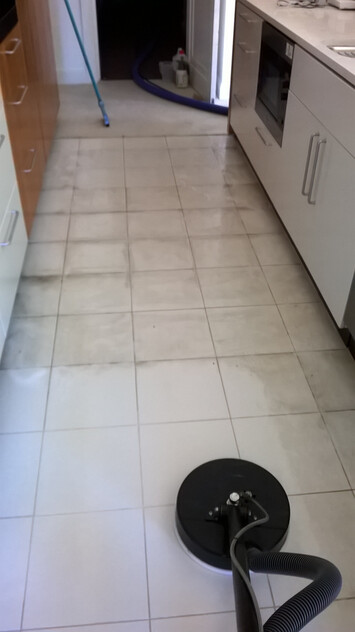 Established Carpet Cleaning Business with 37+ Year History | Loyal Client Base