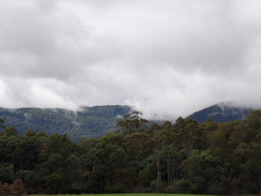 Prime Lifestyle Acreage with Creek Frontage & Quality Infrastructure