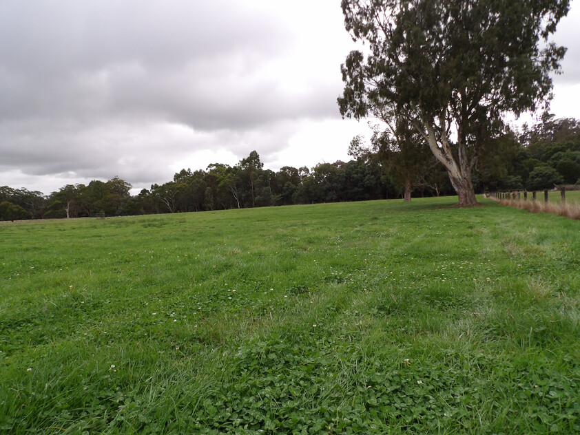 Prime Lifestyle Acreage with Creek Frontage & Quality Infrastructure