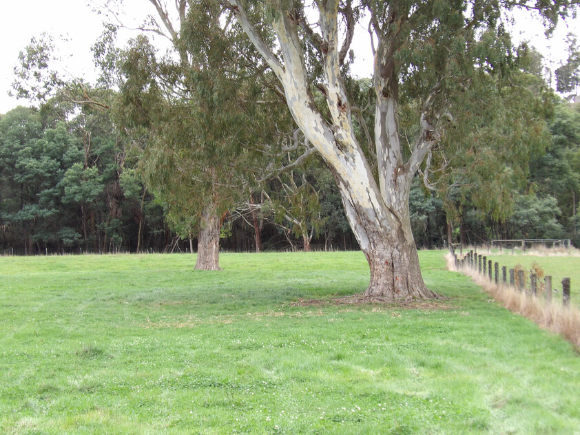 Prime Lifestyle Acreage with Creek Frontage & Quality Infrastructure