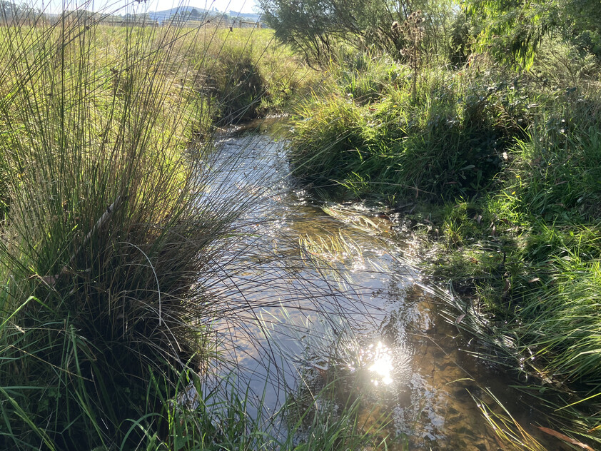 Prime Lifestyle Acreage with Creek Frontage & Quality Infrastructure