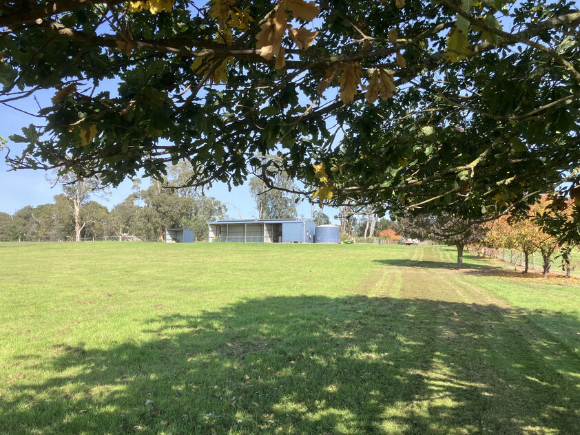 Prime Lifestyle Acreage with Creek Frontage & Quality Infrastructure