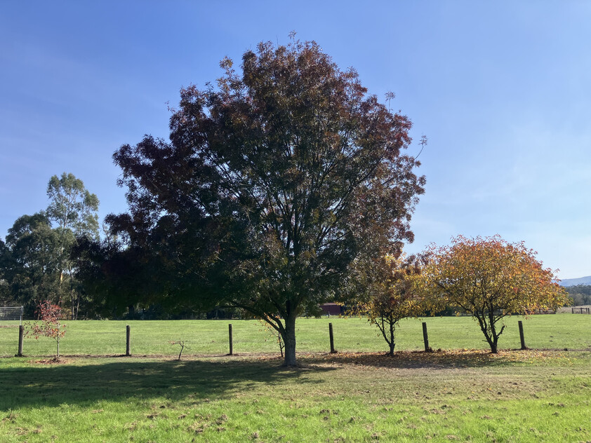 Prime Lifestyle Acreage with Creek Frontage & Quality Infrastructure