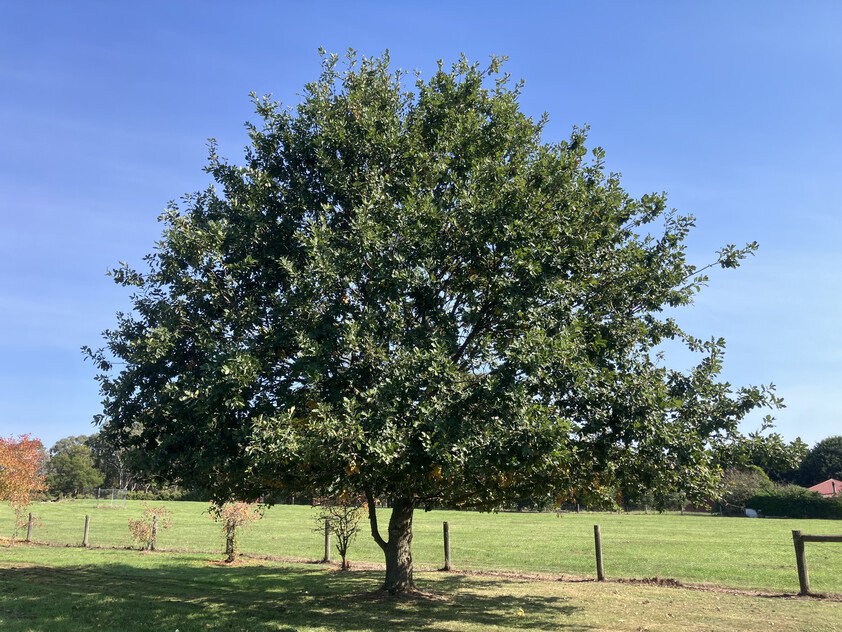 Prime Lifestyle Acreage with Creek Frontage & Quality Infrastructure