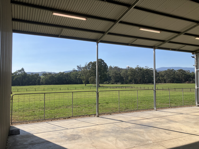 Prime Lifestyle Acreage with Creek Frontage & Quality Infrastructure